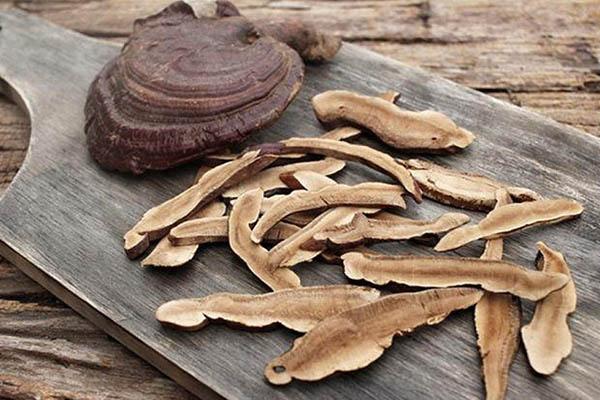 Uống nấm linh chi nhiều có tốt không?