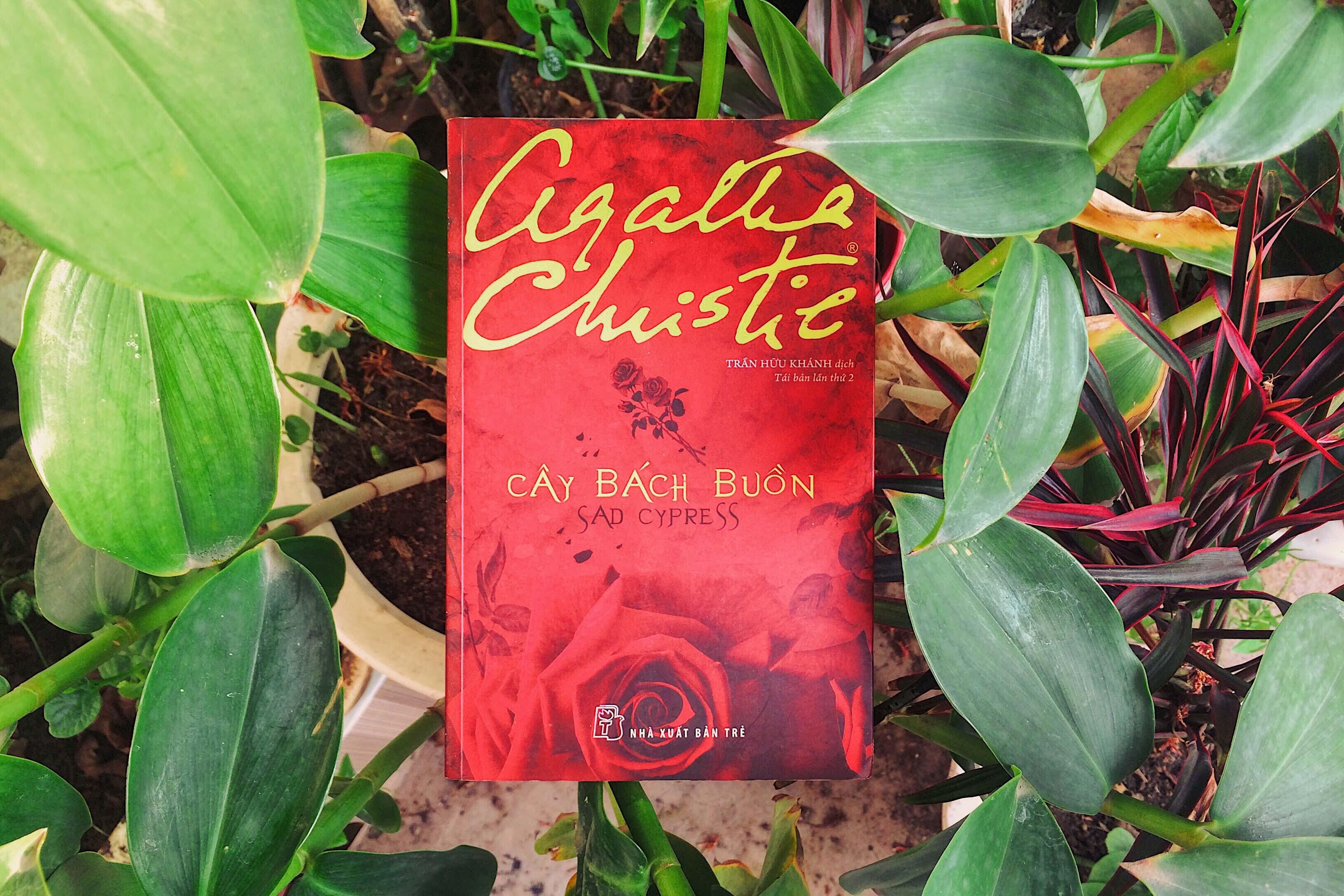 [Review] – Cây Bách Buồn – Agatha Christie