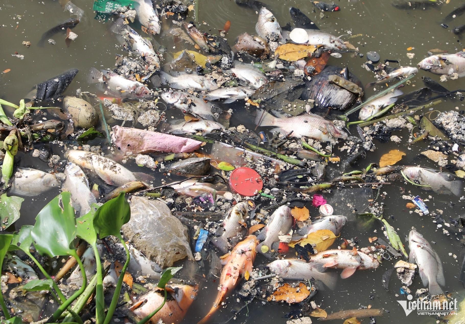 Nhịp sống phương Nam