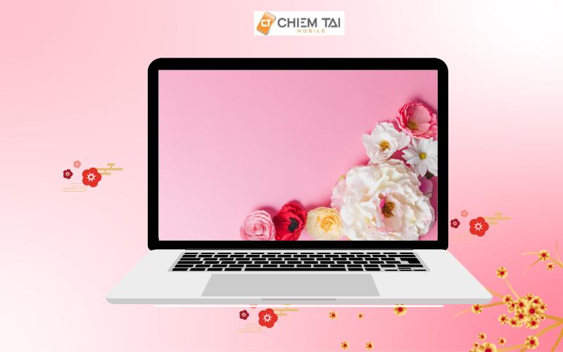 Top 99+ Hình nền màu hồng dễ thương cho điện thoại máy tính đầy nữ tính