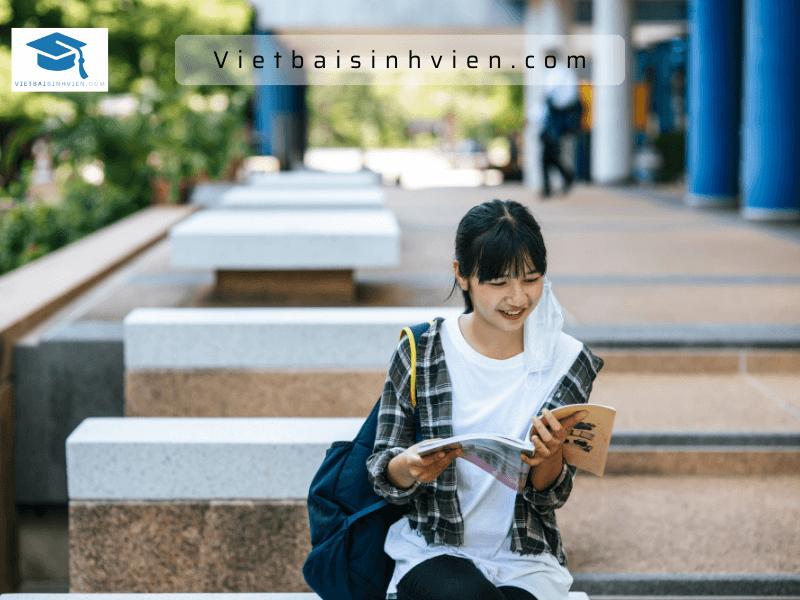 Tìm hiểu về dạng bài tập tiểu luận ở đại học