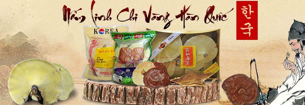 Nấm linh chi vàng hàn quốc