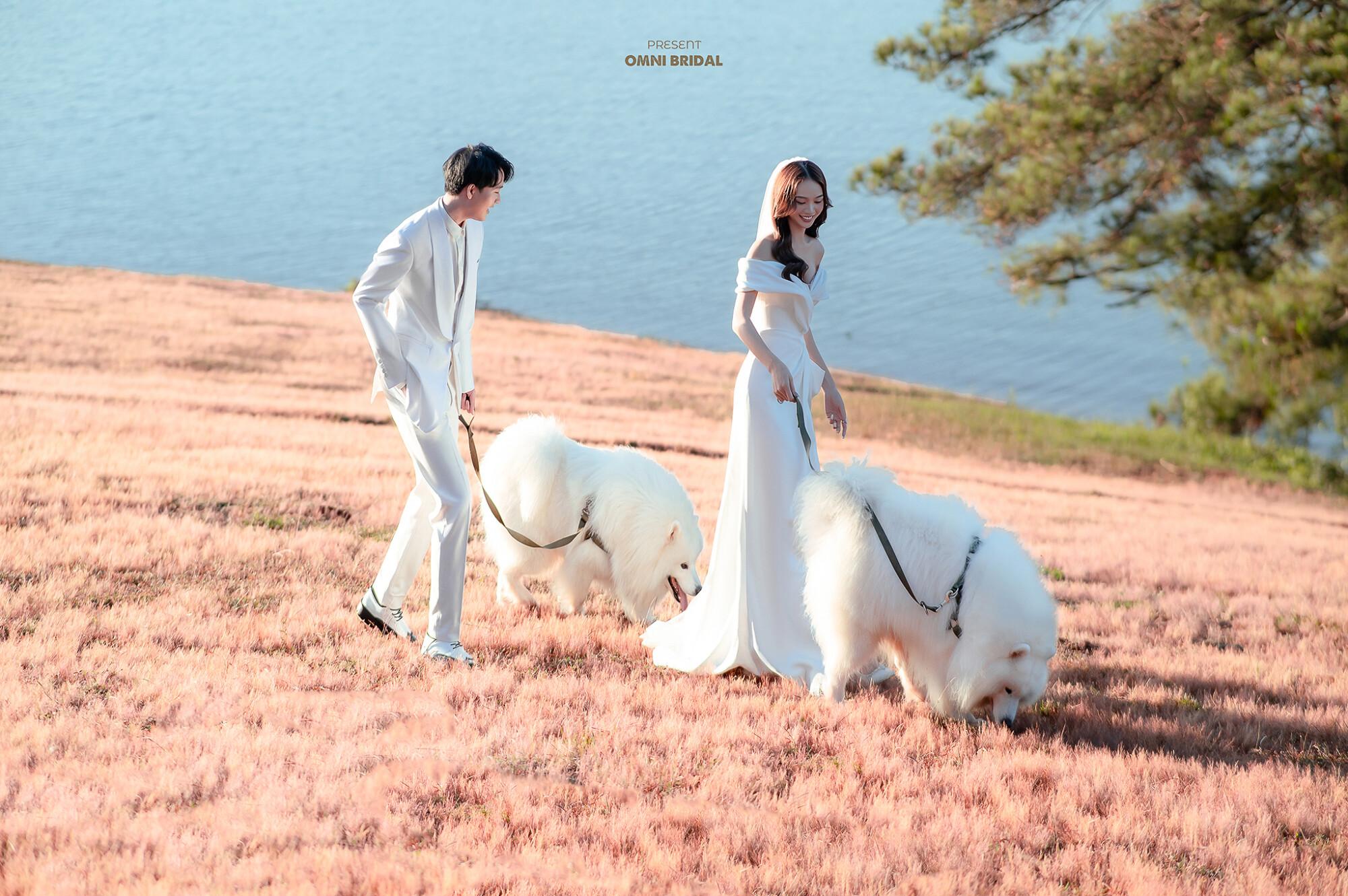 Đồi cỏ hồng Đà Lạt – Thiên đường chụp ảnh cưới lãng mạn cho dâu rể