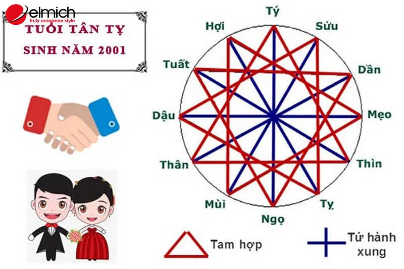 Tuổi Tân Tỵ 2001 Hợp Tuổi Nào Trong Hôn Nhân, Làm Ăn?