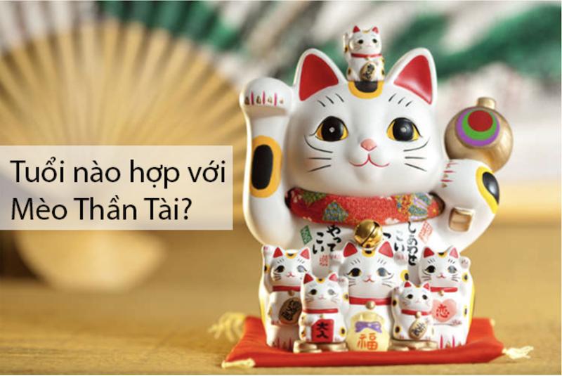Tuổi nào hợp với mèo thần tài, tuổi nào kỵ, nên tránh