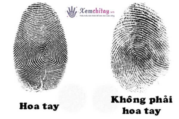 Hoa tay là gì?