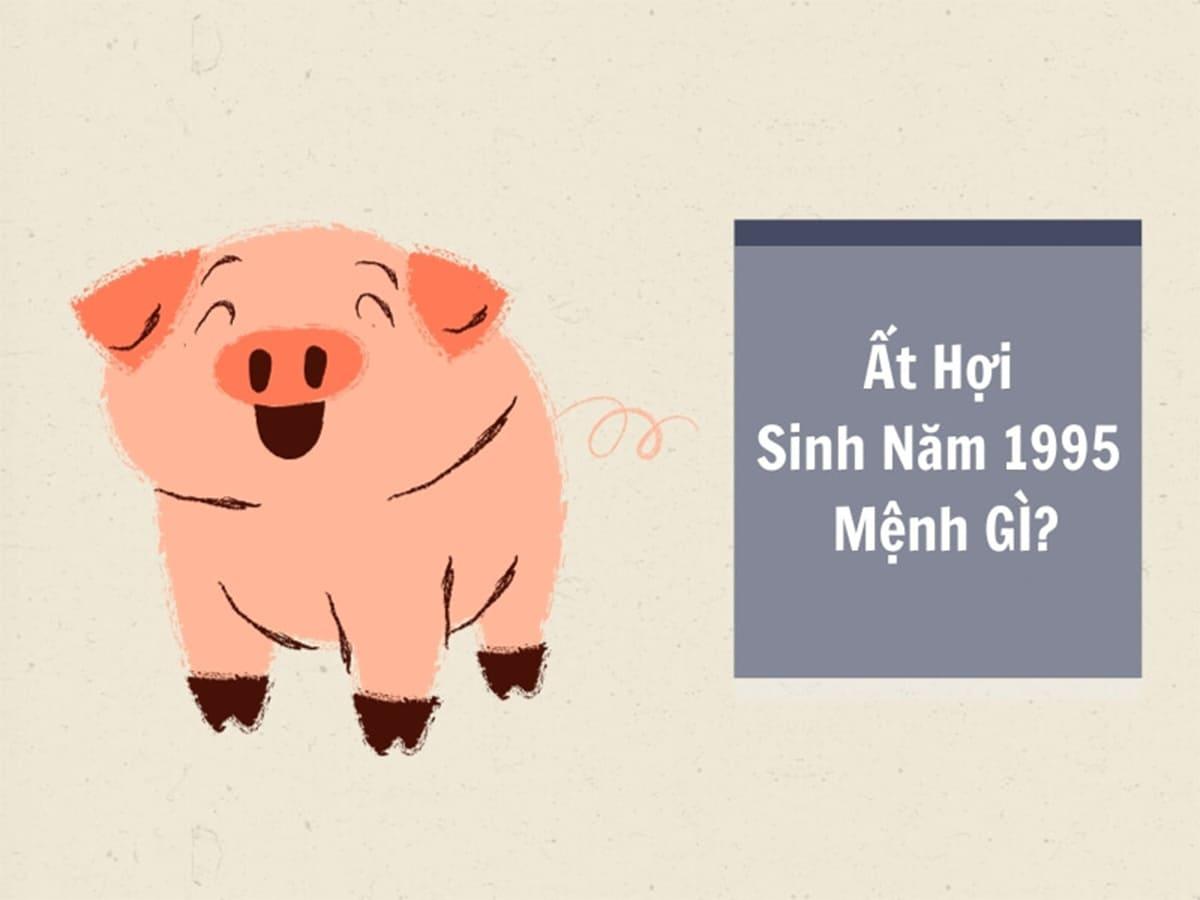 Ất Hợi 1995 mệnh gì, hợp xe màu gì, cung gì, tuổi con gì?