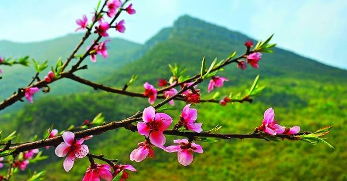 Đoạn văn tiếng Anh tả về một mùa trong năm (Gợi ý + 29 mẫu) Nói về mùa yêu thích bằng tiếng Anh