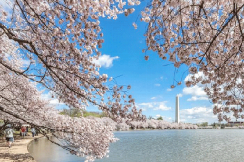 Mùa Xuân Có Đặc Điểm Gì?