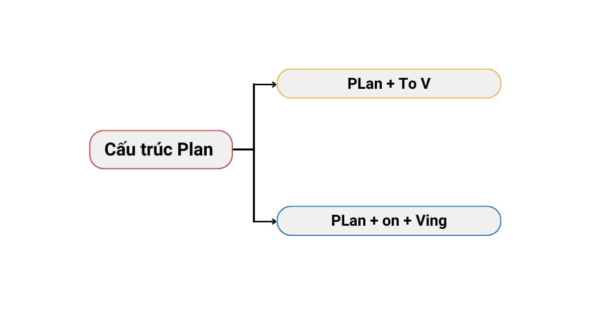 cấu trúc plan