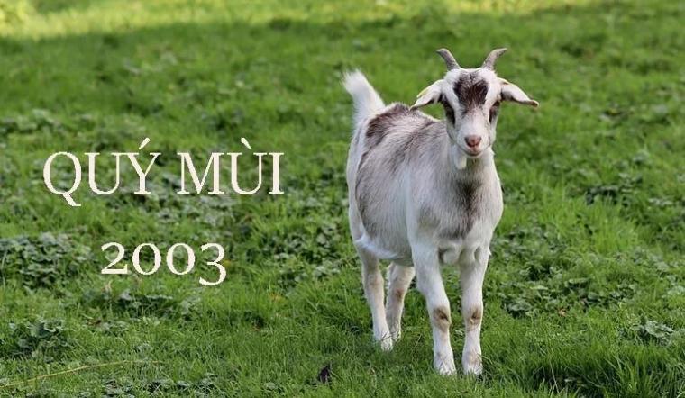 Xem tử vi tuổi Quý Mùi 2003 - Nữ mạng năm 2025 CHI TIẾT NHẤT