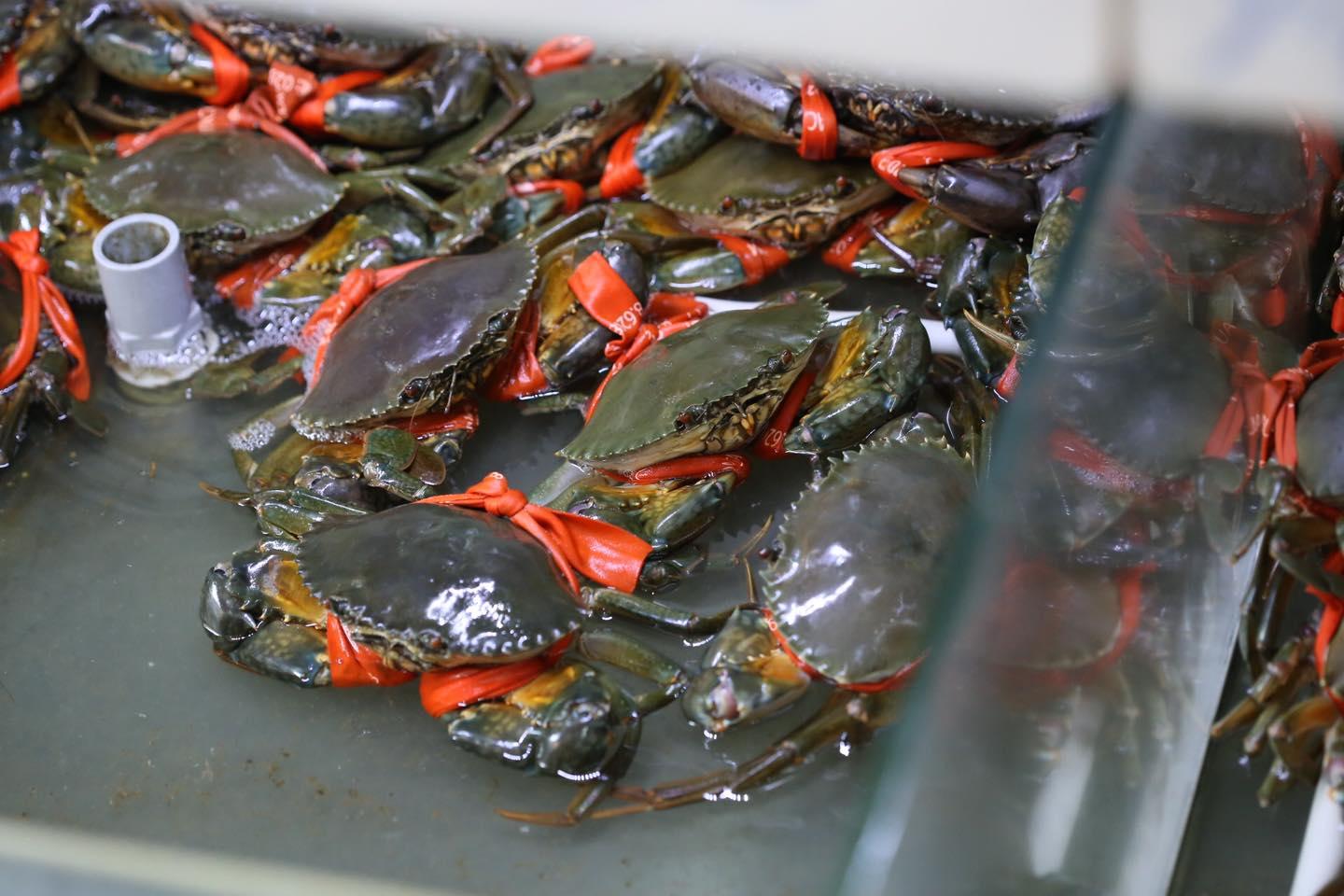 Ẩm Thực Cà Mau tại Sài Gòn: Cua, Tôm, Cá & Món Ngon Đất Mũi