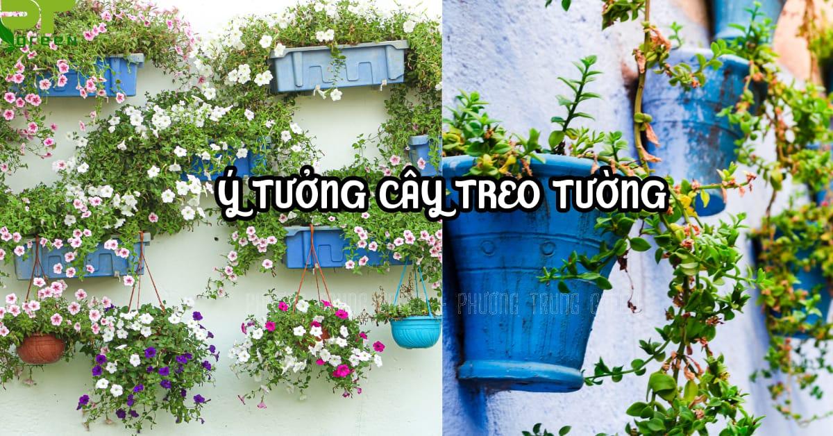 Một số ý tưởng hay về cây treo tường