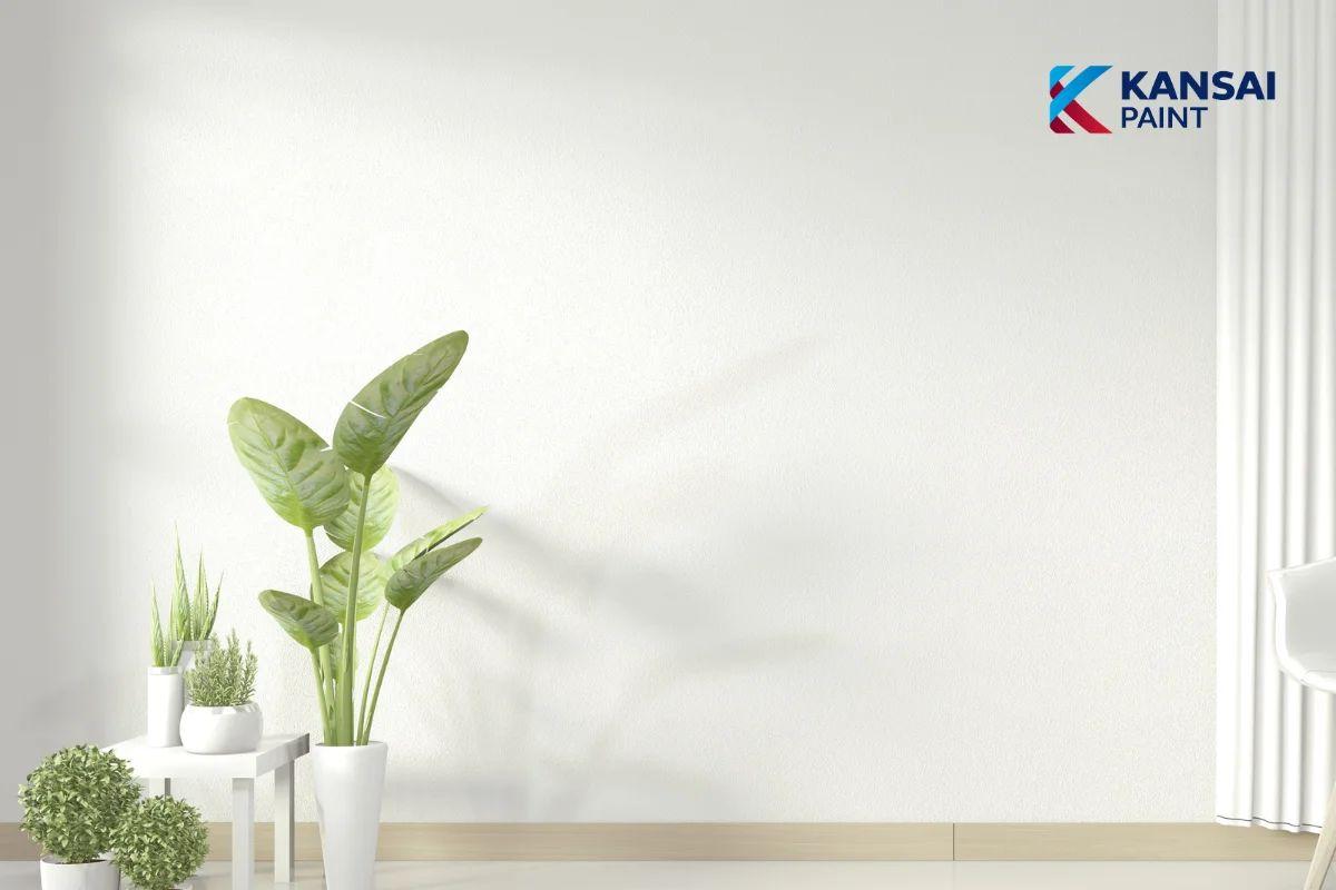 Chồng Mệnh Kim Vợ Mệnh Mộc Sơn Nhà Màu Gì Đẹp May Mắn