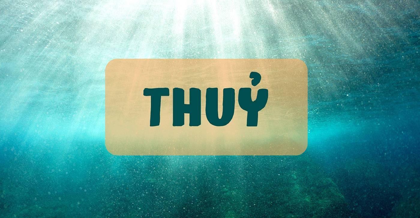 Lý Giải Mệnh Thủy Trồng Cây Xanh Trong Nhà Có Tốt Không?