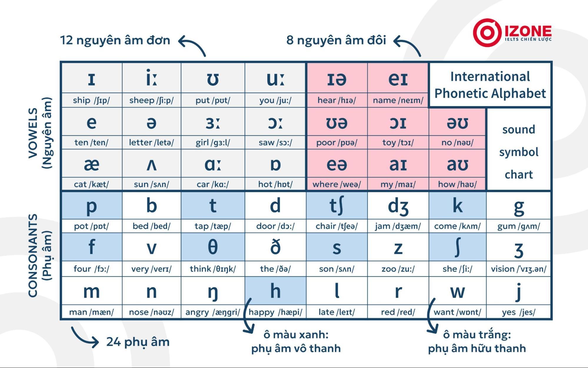 Hướng dẫn học Bảng phiên âm IPA phát âm chuẩn quốc tế cho người mới