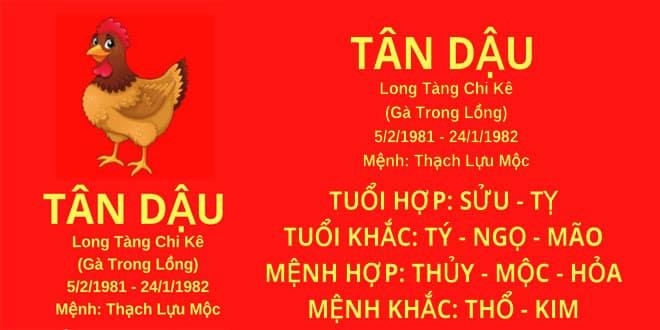 Xem tử vi tuổi Tân Dậu 1981 - Nam mạng năm 2025 CHI TIẾT NHẤT