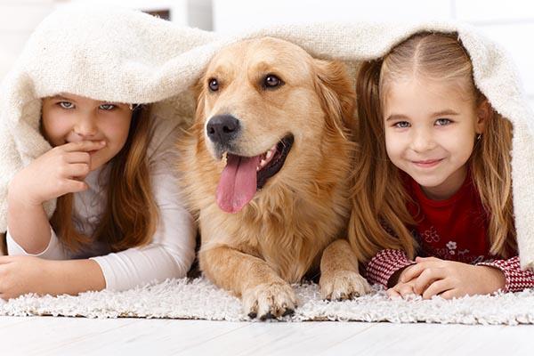 Mối nguy hại nên đề phòng khi nuôi thú cưng