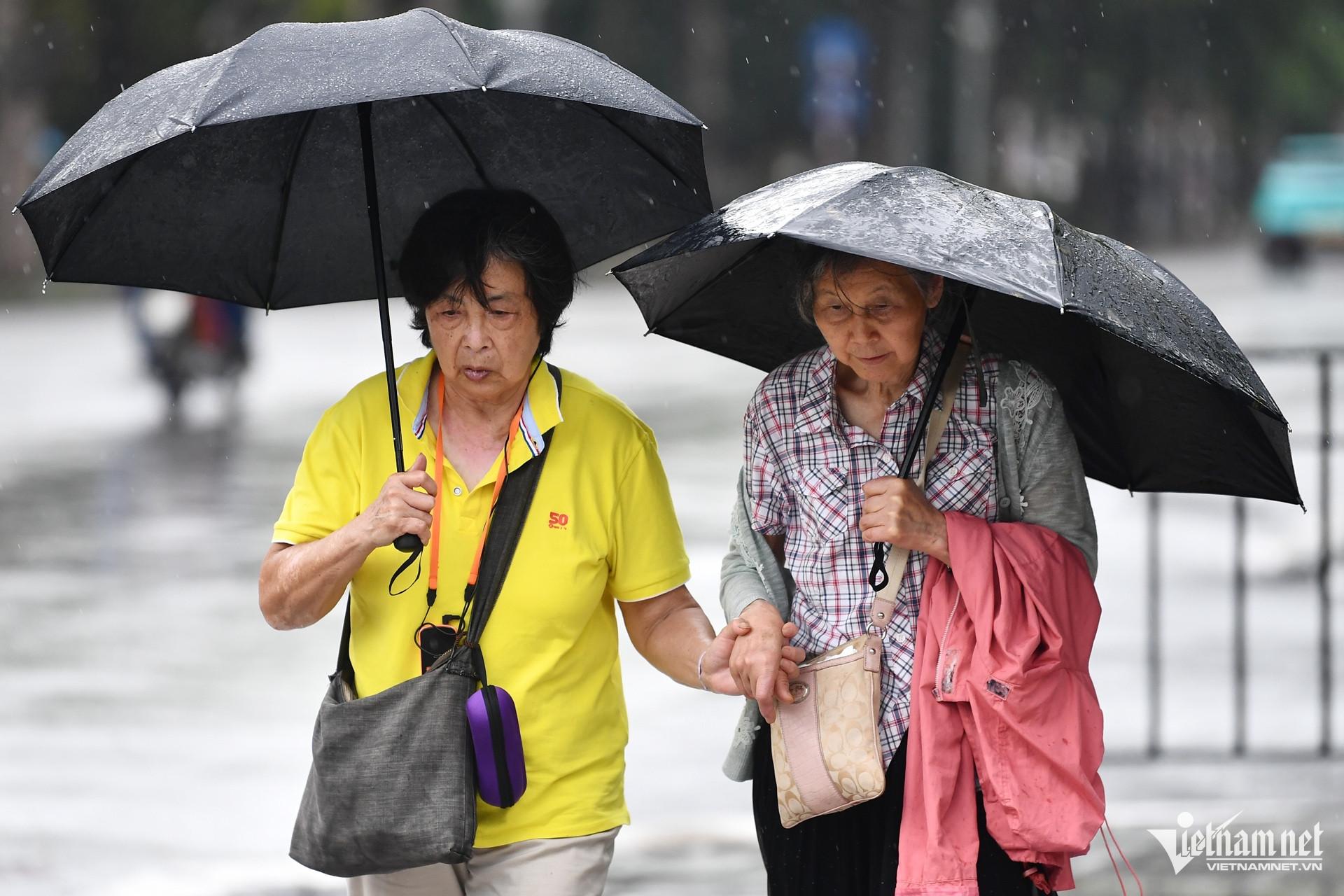 Dự báo thời tiết 19/6/2025: Bắc Kạn đo được 270mm, miền Bắc mưa lớn xối xả