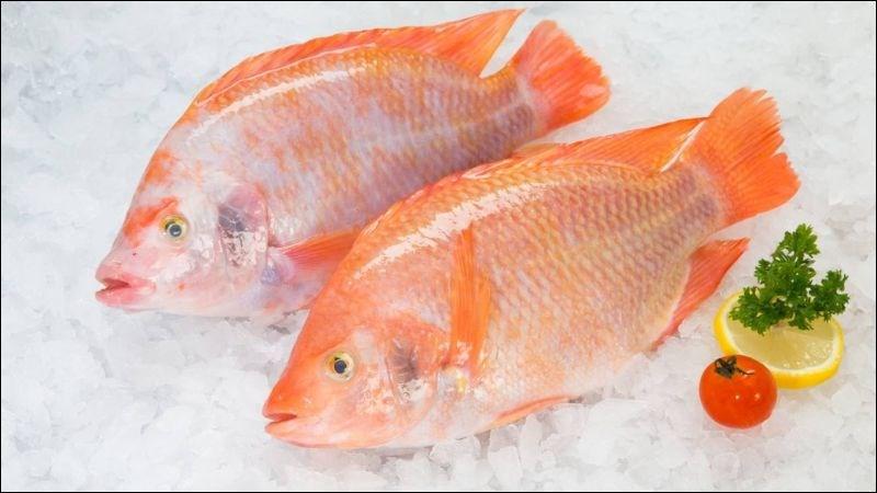 100g cá diêu hồng bao nhiêu calo? Ăn cá diêu hồng có mập không?