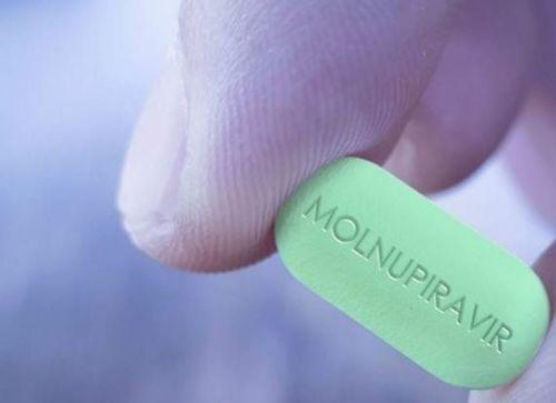 Những thông tin cần biết về thuốc kháng virus Molnupiravir điều trị COVID-19