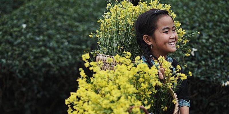 Điểm danh 16 khách sạn Mộc Châu say lòng người cùng MoMo