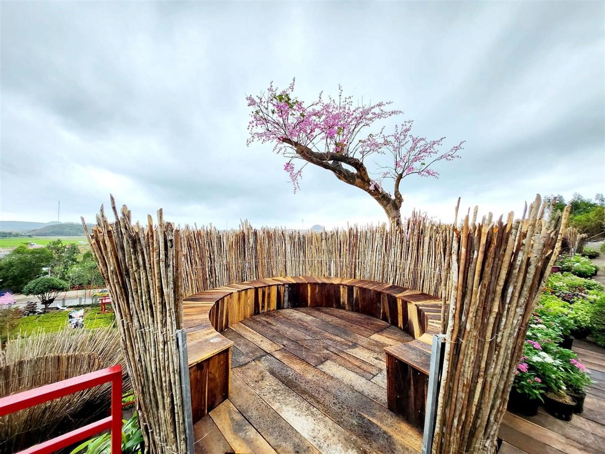 CANARY GARDEN PHÚ YÊN – Khu vườn Nhật Bản giữa xứ sở Hoa vàng cỏ xanh