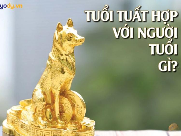 1982 hợp tuổi gì? Hé lộ CẶP BÀI TRÙNG KHỚP tình duyên viên mãn, sự nghiệp thăng hoa