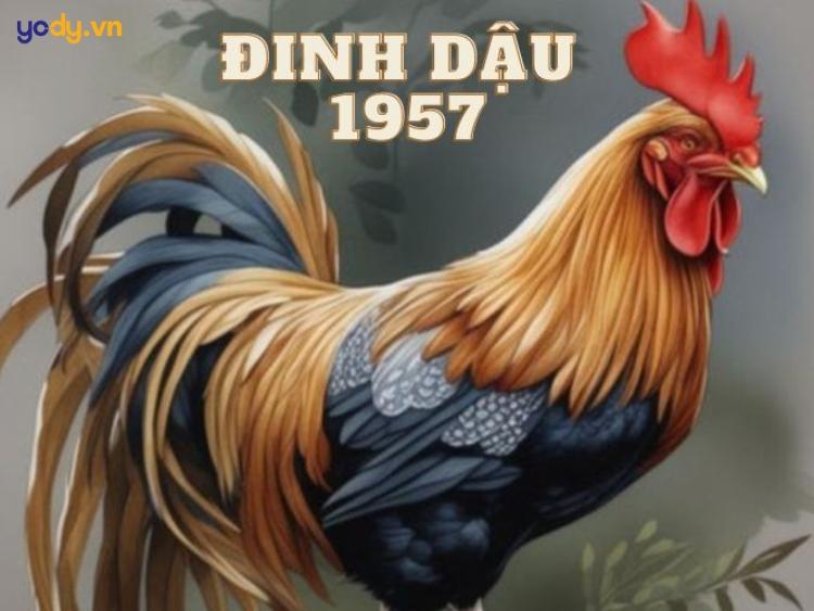 Tuổi Dậu 1957 bao nhiêu tuổi? Tử vi, tính cách, sự nghiệp