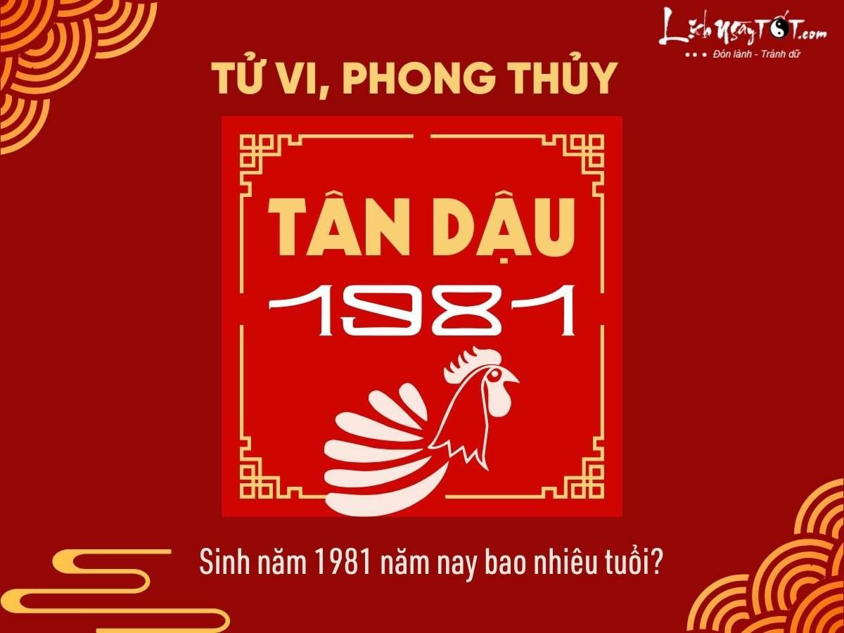 **Sinh năm 1981 bao nhiêu tuổi**: Cách tính và vận mệnh chi tiết