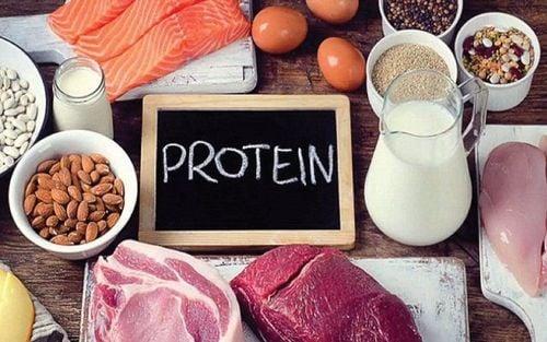 4 nhóm dưỡng chất quan trọng: Chất bột đường, béo, protein, vitamin và khoáng chất