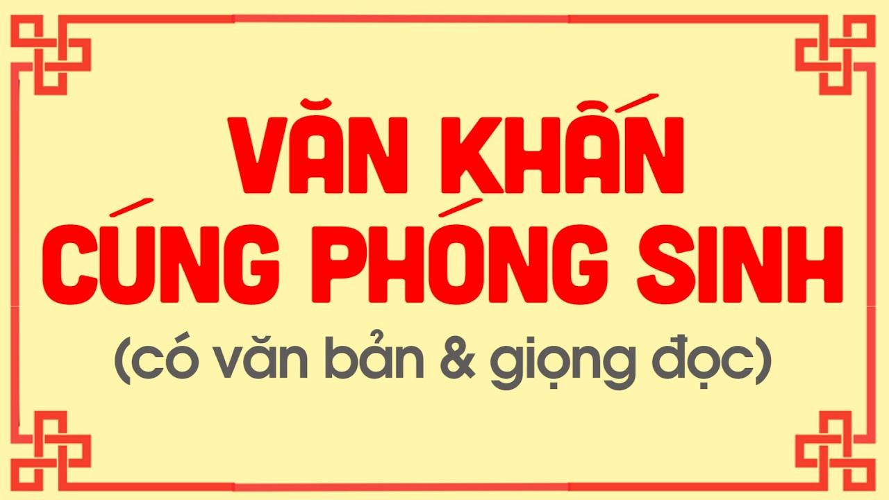 Văn khấn phóng sinh đúng chuẩn – Cầu bình an, gieo duyên lành