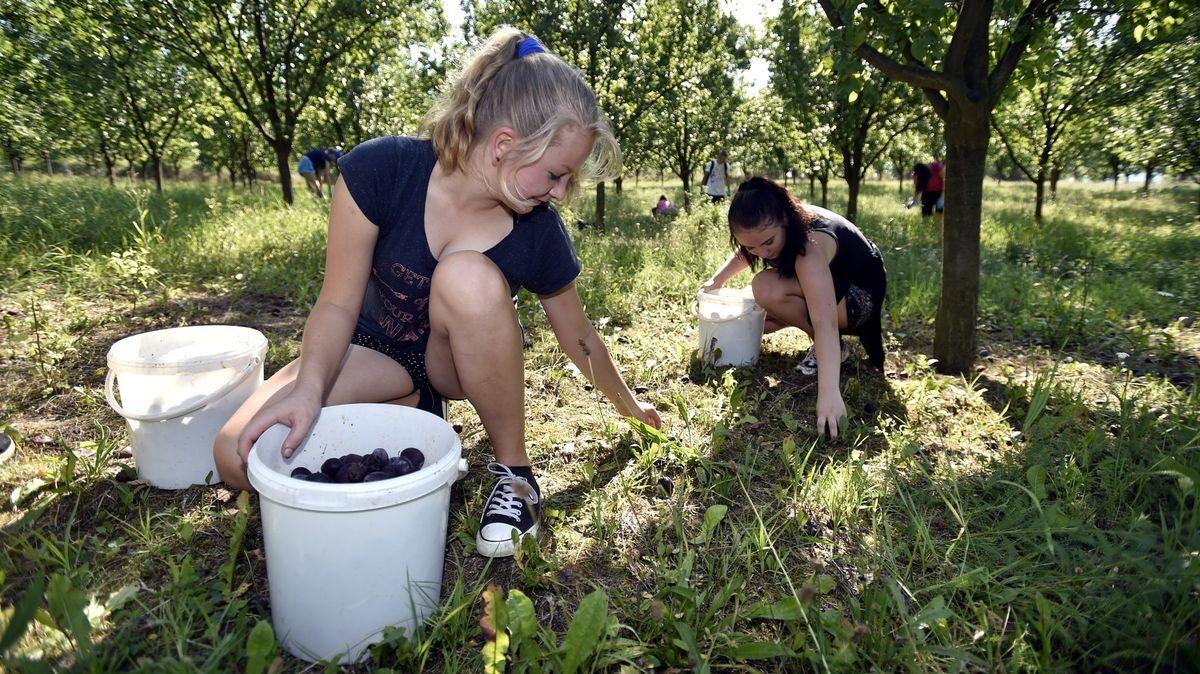 Những điều kiện và giới hạn đối với học sinh 14 tuổi muốn đi làm thêm - TAMDA MEDIA