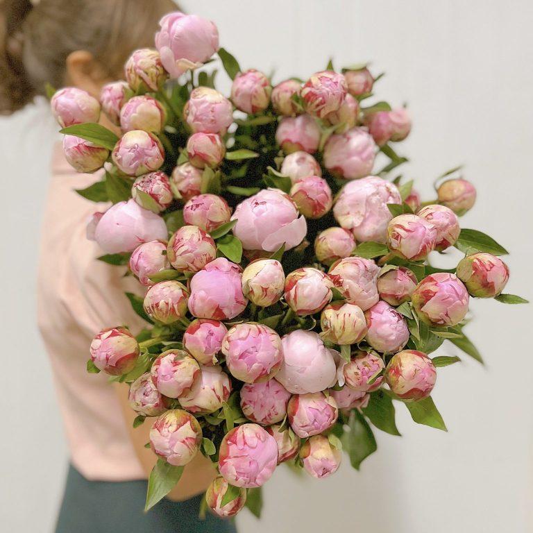 12 Loại hoa nhập khẩu đẹp, độc, lạ mà bạn không nên bỏ qua