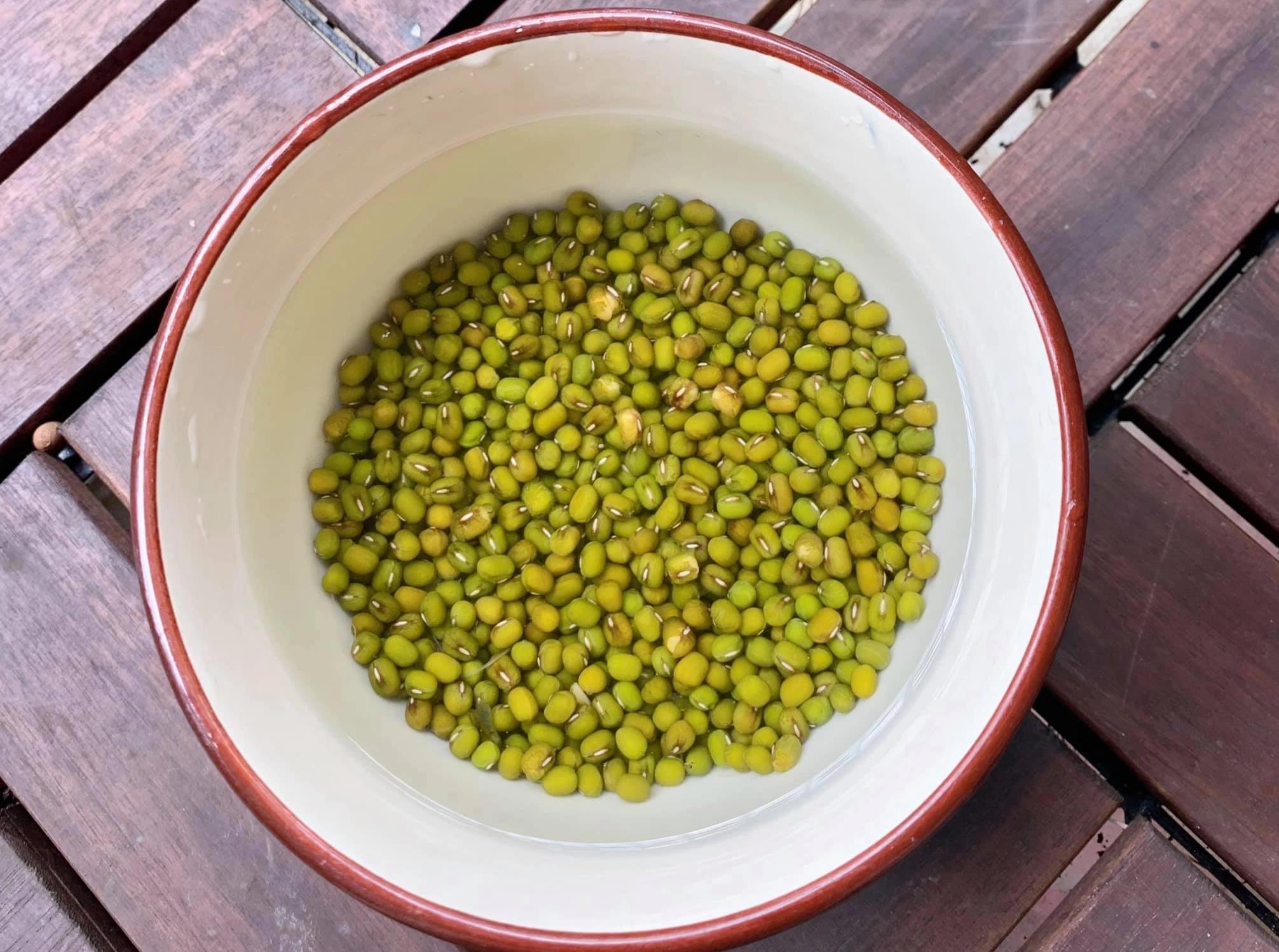 Cách làm giá đỗ sạch đơn giản tại nhà, ai cũng có thể thành công