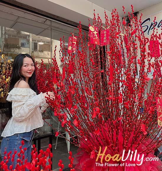 Tổng hợp 99 mẫu hoa Nụ tầm xuân rực rỡ - Hoa đẹp ngày Tết