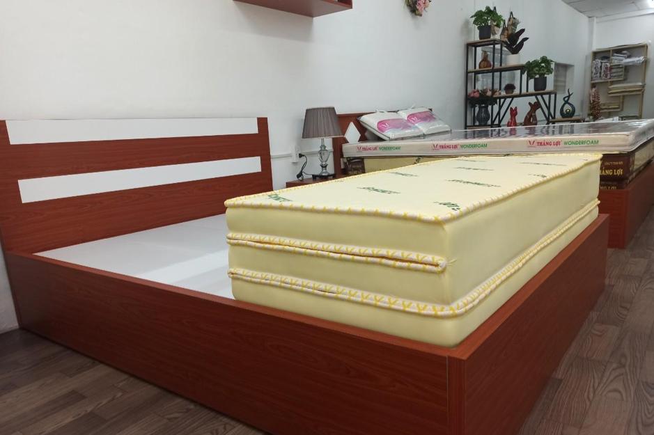 NỆM CAO SU NON THẮNG LỢI GẤP 3