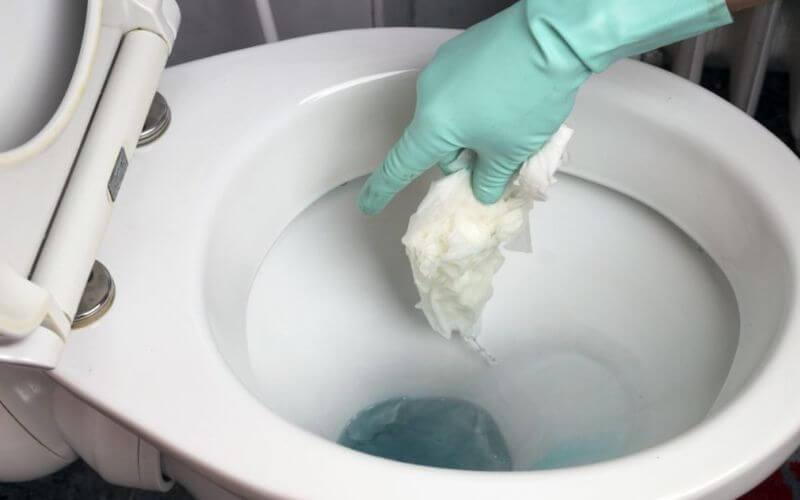 Cách sử dụng cây thông bồn cầu đơn giản hiệu quả