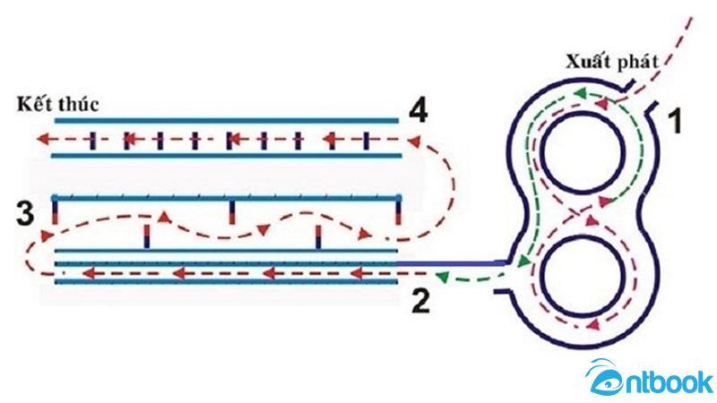 Hướng dẫn cách đi vòng số 8 cực chi tiết và mẹo đi vòng số 8