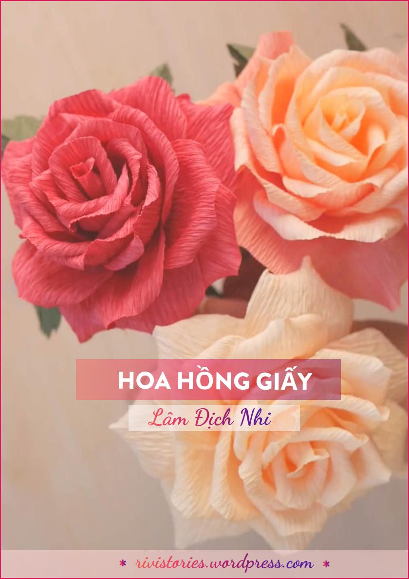 Tổng hợp list 50+ ngôn tình ngược HE hiện đại tâm đắc và hay nhất