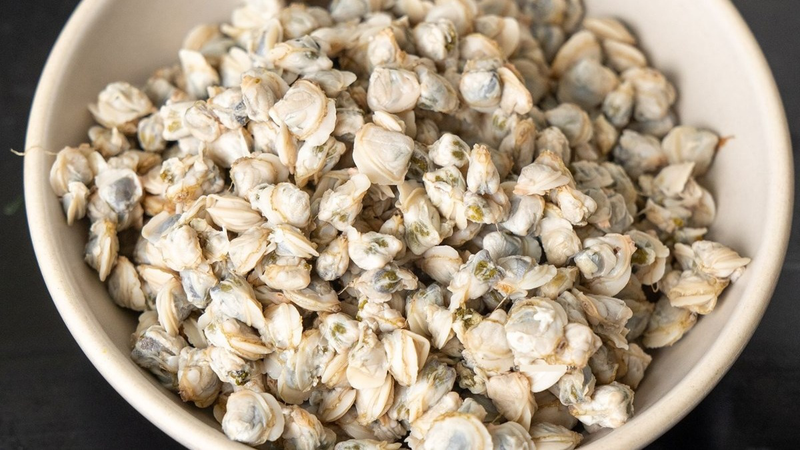 Ăn hến có tốt không? Giá trị dinh dưỡng của hến