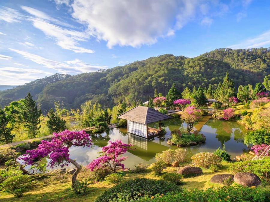 Nên đi Đà Lạt tháng mấy? Kinh nghiệm chọn thời điểm lý tưởng