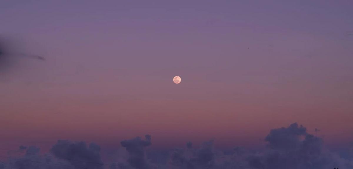 Draw up nghĩa là gì? Cách dùng và các cấu trúc tương đương