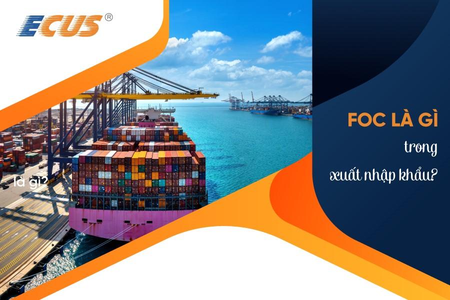 Foc là gì trong xuất nhập khẩu? Giải đáp mọi thắc mắc về FOC