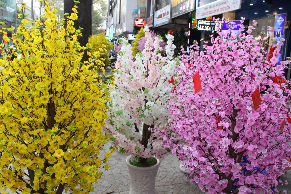 Hoa Mai vs Hoa Đào: Sự Khác Biệt Và Ý Nghĩa Trong Tết Nguyên Đán