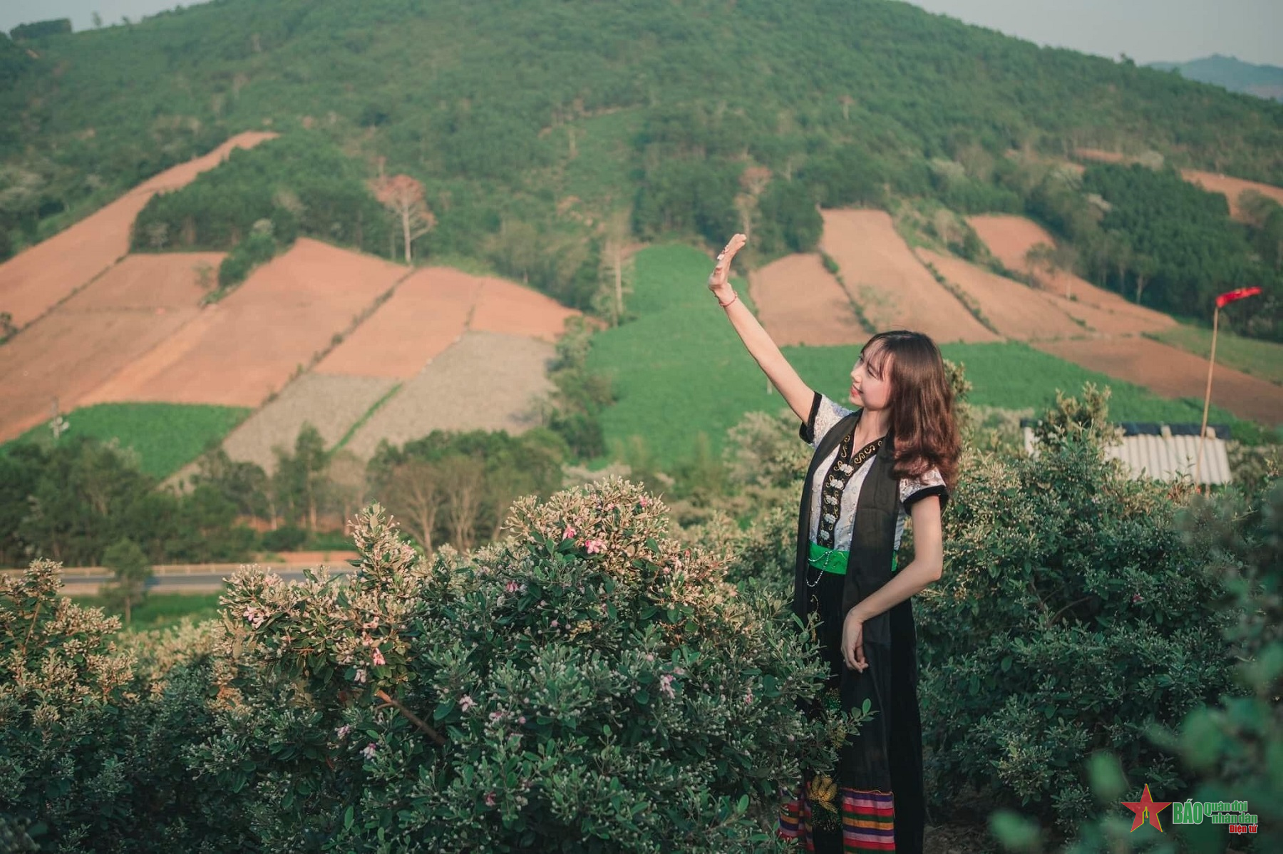 Đẹp mơ màng rừng tím hoa sim