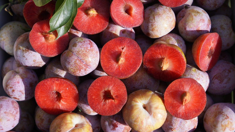 Lợi ích tuyệt vời từ món nước mận ngâm đường