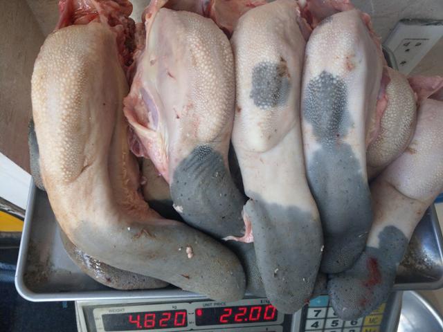 Món ăn ngon từ lưỡi bò có thể tự làm tại nhà