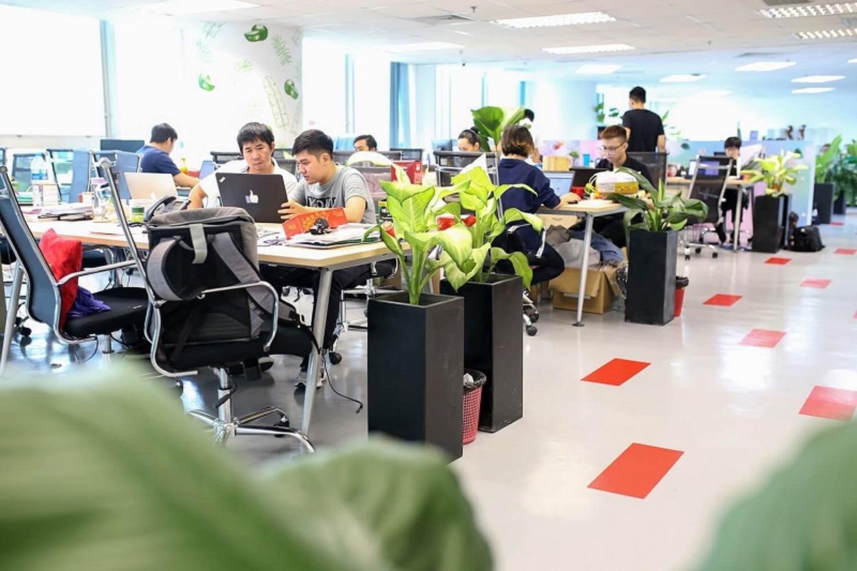 Không giỏi tiếng Anh nên học ngành nào? Tư vấn cách chọn ngành đúng