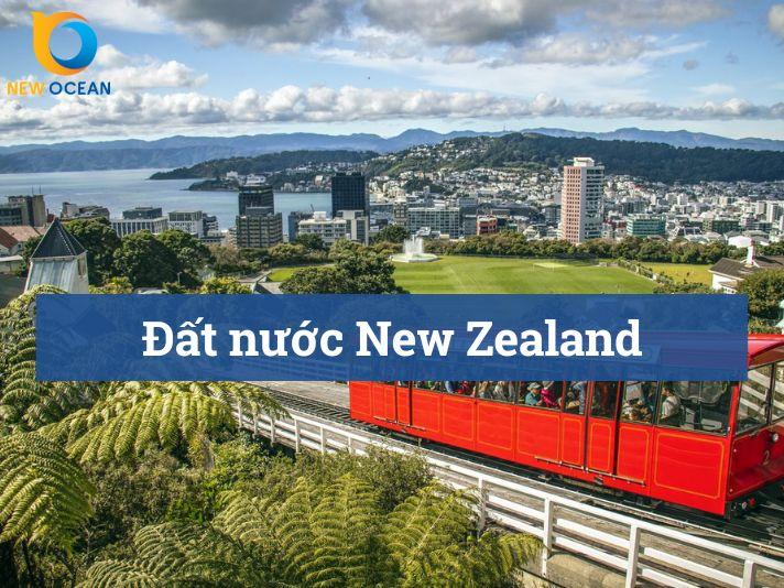 Tổng quan đất nước New Zealand 2025: Những thông tin cần nắm